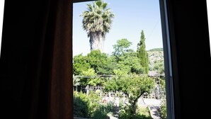A window view of a garden with a tall palm tree, various shrubs, and a bicycle. - Le Case nel Vitigno (Modolo)
