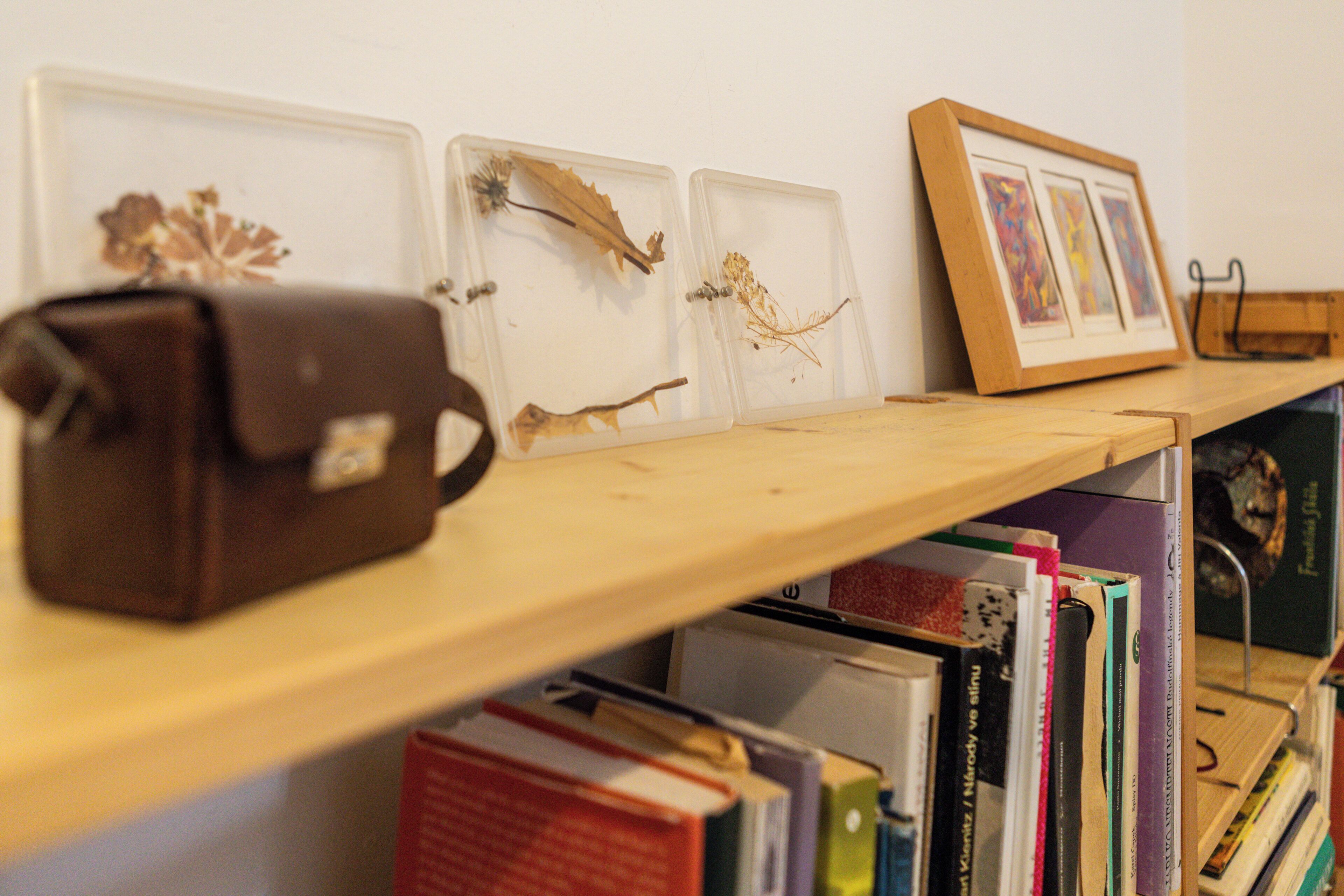 A shelf with books, a framed picture, and a brown bag.