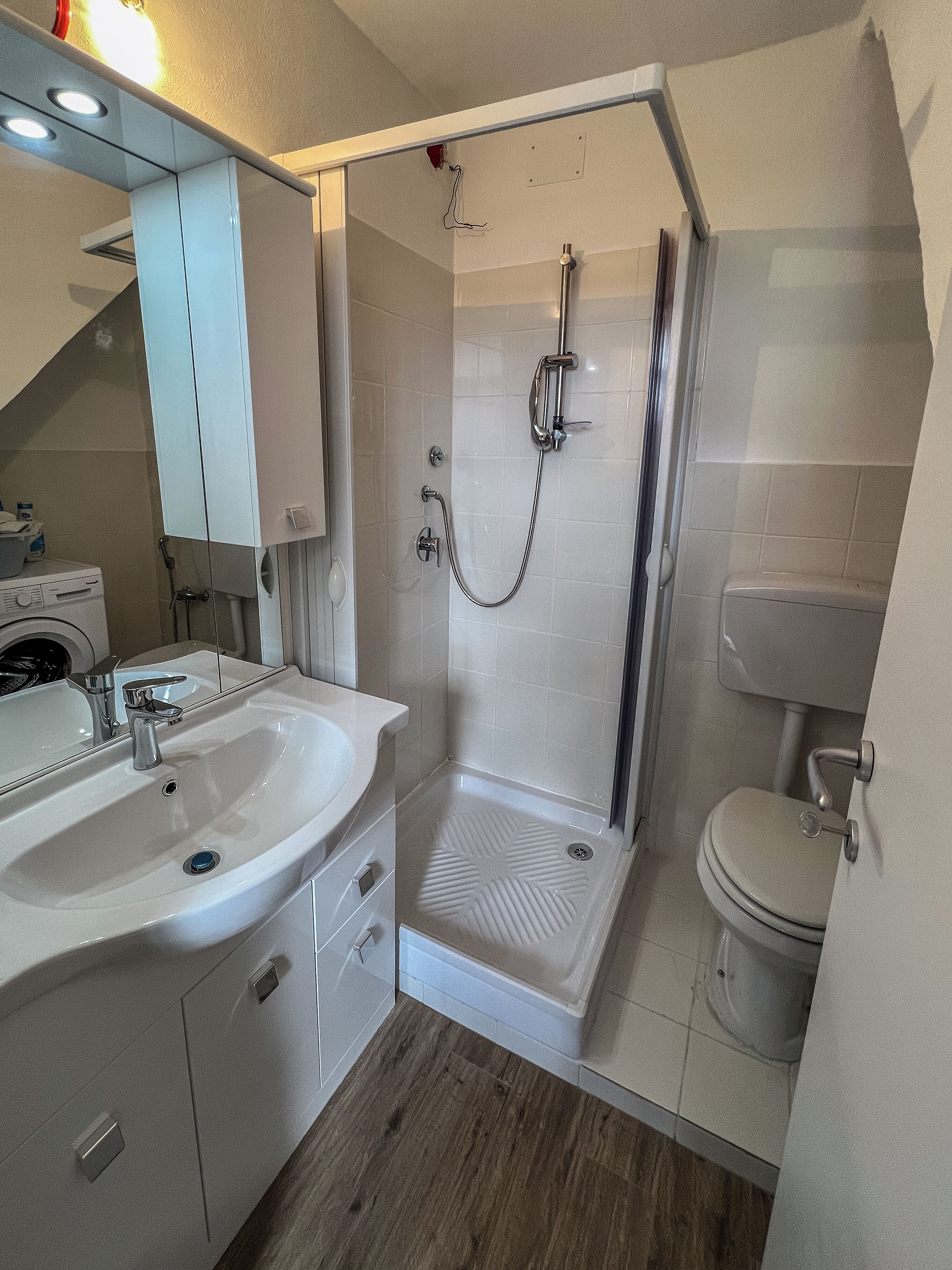Een badkamer met een douche, toilet en wastafel.