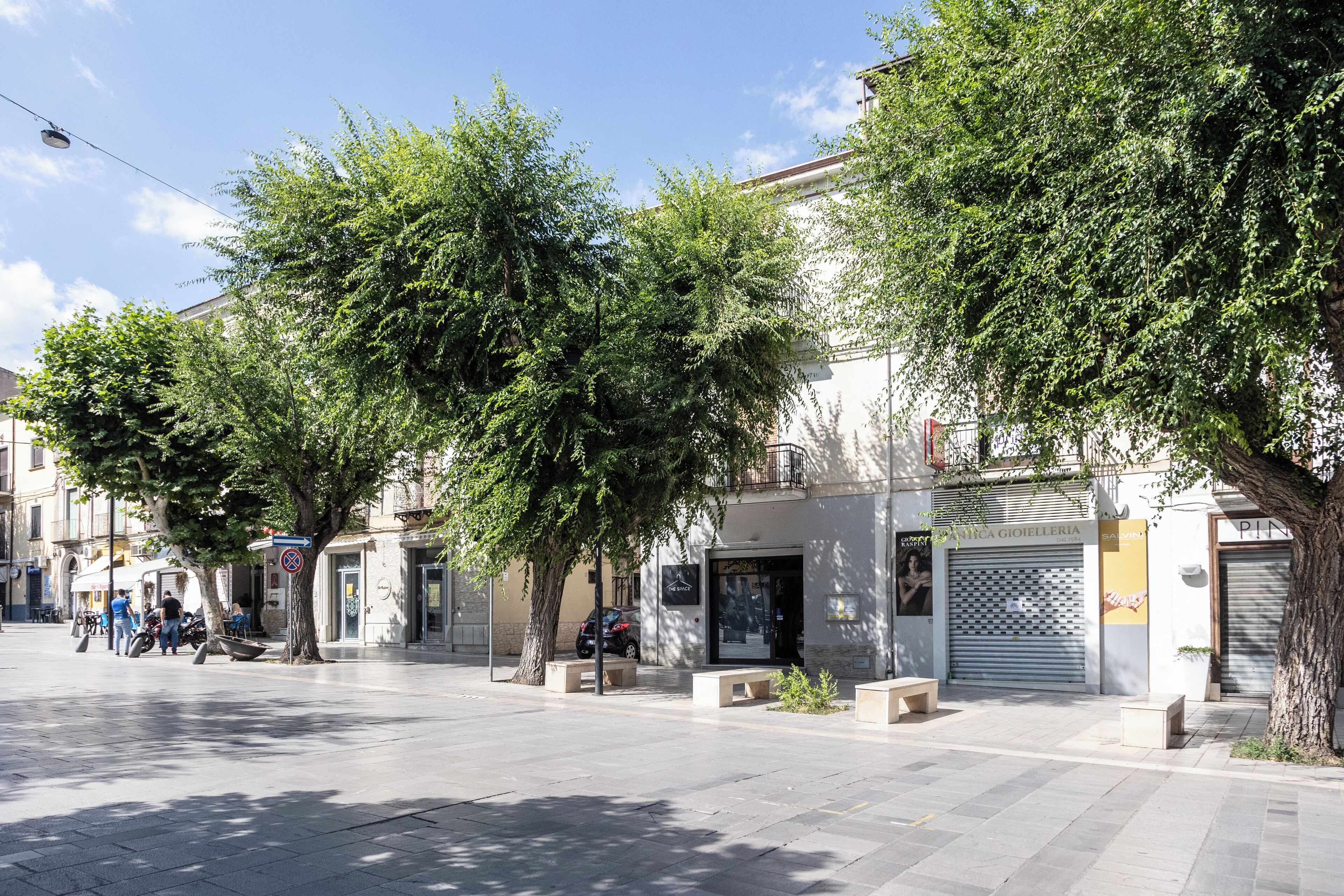 A street with trees, benches, and storefronts.