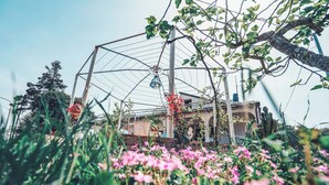 A greenhouse structure with a metal frame and glass panels, surrounded by lush greenery and pink flowers.