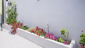 A narrow planter box with various flowering plants against a white wall.