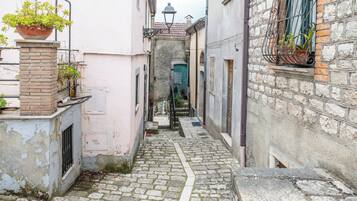 A narrow cobblestone alley with buildings on either side, a brick pillar with a flower pot, and a metal gate at the end.