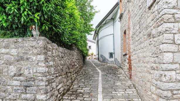 A narrow cobblestone alley flanked by stone walls and lush green foliage. - Sant'Janni (Buonalbergo)