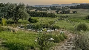 A rural landscape with a stone pathway leading through a field, surrounded by greenery and distant hills. - Casale Farnia - Tenuta di campagna con piscina immersa nel verde (Montecastrilli)