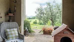 A wicker chair with a checkered cushion, a wooden bench, a small wooden table, and a rustic wooden doghouse with a sign. - Casale Farnia - Tenuta di campagna con piscina immersa nel verde (Montecastrilli)