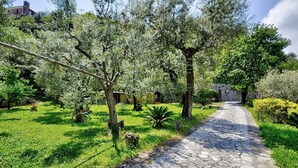 A stone pathway in a lush garden with trees and shrubs.