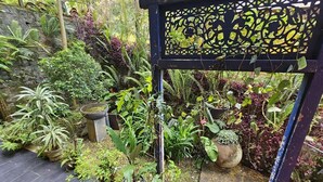 Un jardin agrémenté de différentes plantes en pot et d’un portail décoratif en métal noir.