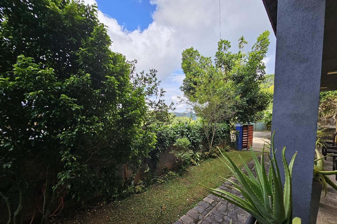 Blick auf den Garten