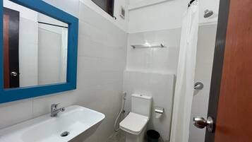 A bathroom with a white sink, a toilet, and a shower area.