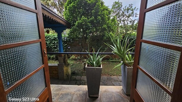 Une vue depuis un balcon, avec une plante en pot et une structure bleue en arrière-plan.