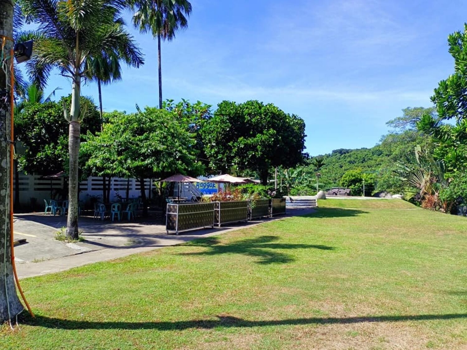 Park view