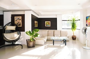 A modern living room with a sofa, a hanging chair, a coffee table, and potted plants.