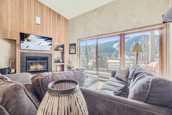 Smart TV, chimenea, reproductor de DVD