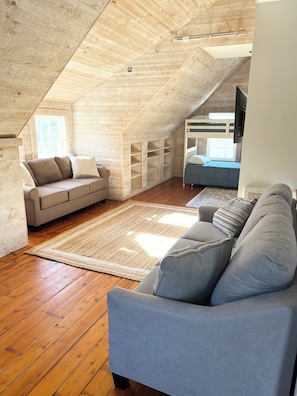 TV connectée, cheminée, livres