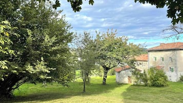 Área da propriedade