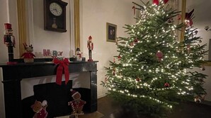 A living room with a Christmas tree, fireplace, clock, and various decorations. - Authentic, rustic farmhouse in the heart of the Ariege Pyrenees (Saint-Lizier)