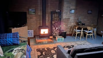 Smart TV, fireplace, books