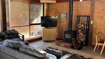 Smart TV, chimenea y libros