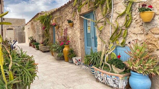 A narrow alley with potted plants and a blue door, surrounded by stone walls. - Lovely apartment for 4 guests with WIFI, pool, A/C, TV and terrace (Pachino)