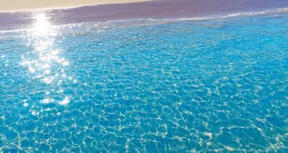 Gourmet in Grau i Platja