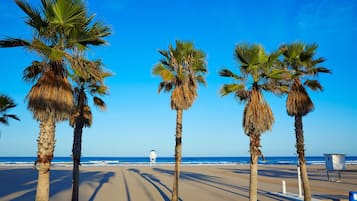 Apartment | 4 bedrooms