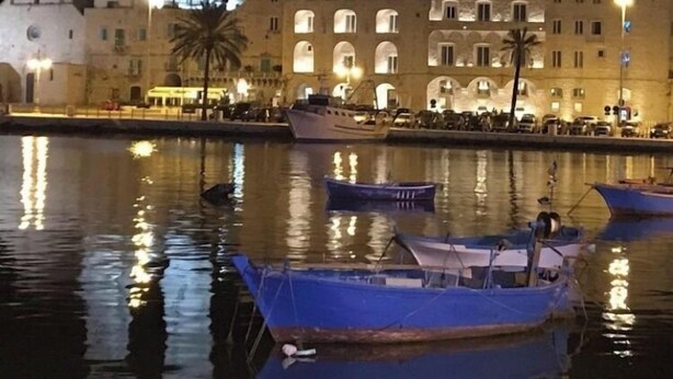 Escena frente al agua con barcos amarrados, un edificio destacado con dos torres y una palmera.