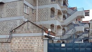 Un edifici de diversos pisos amb façana de maó, una porta blava i una zona pavimentada al davant.