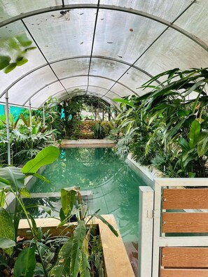 A greenhouse with a central pool surrounded by various tropical plants. - Tuesday Farm Stay (Bengaluru)