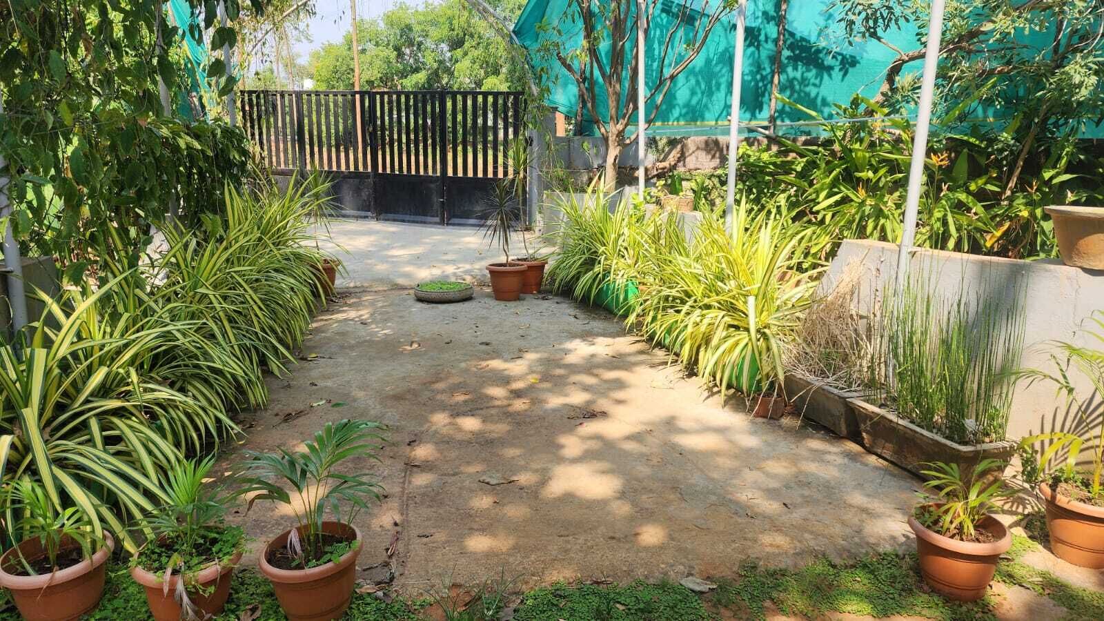 A garden pathway lined with potted plants, leading to a black gate.