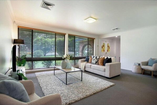 Smart TV, fireplace, computer monitors