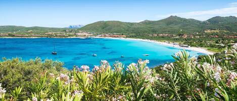 Apartment | 1 Schlafzimmer