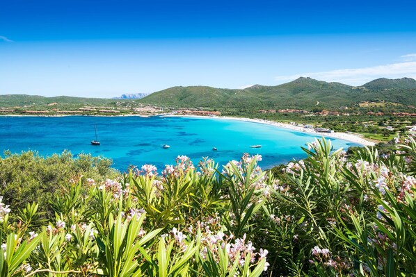 Apartment | 1 Schlafzimmer