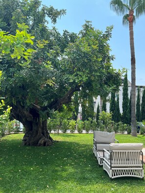 Deluxe Apart Daire, Veranda, Bahçe Manzaralı | Odadan manzara
