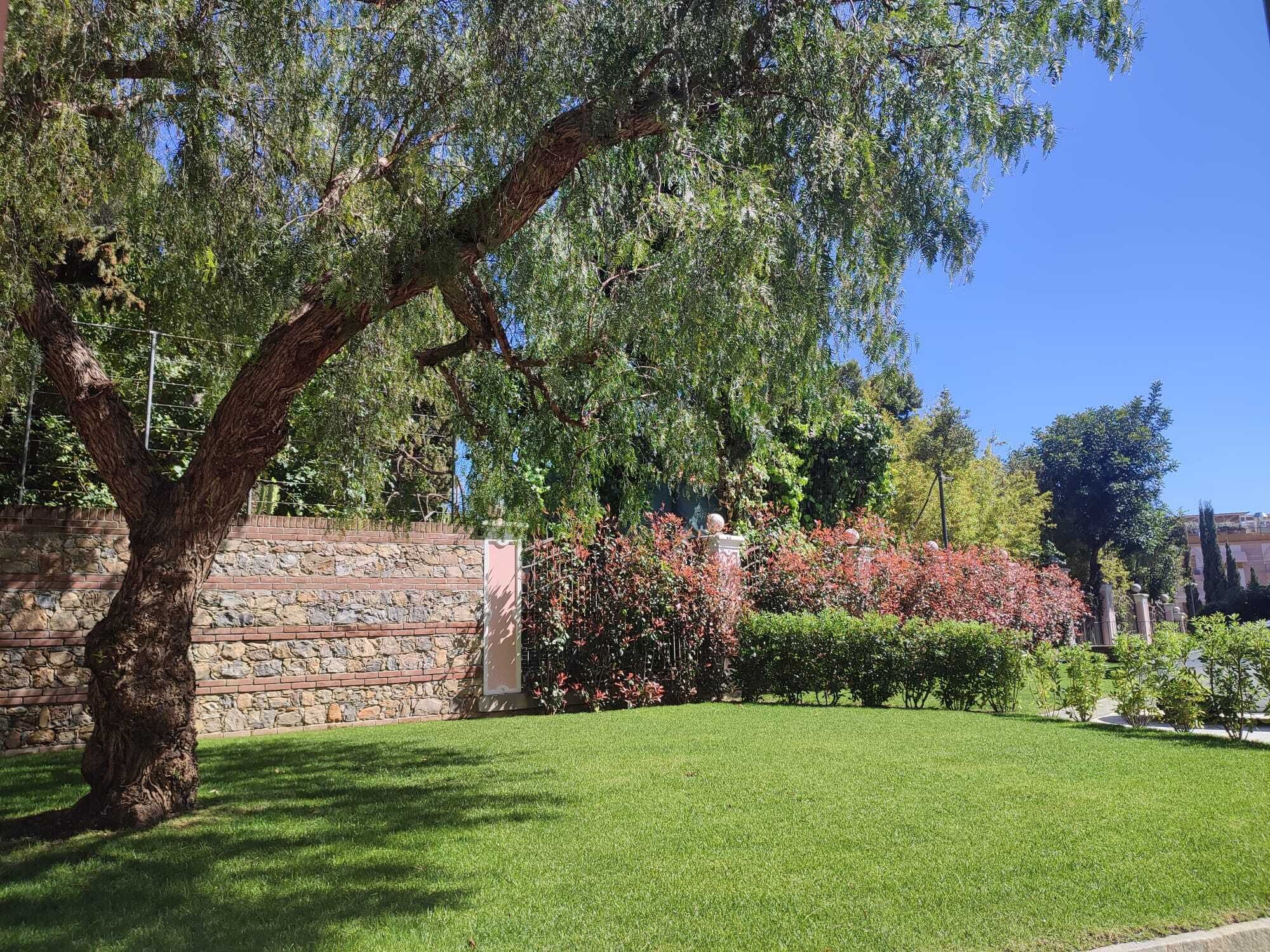 Leilighet – deluxe, 1 soverom, terrasse, hageutsikt | Utsikt fra rommet