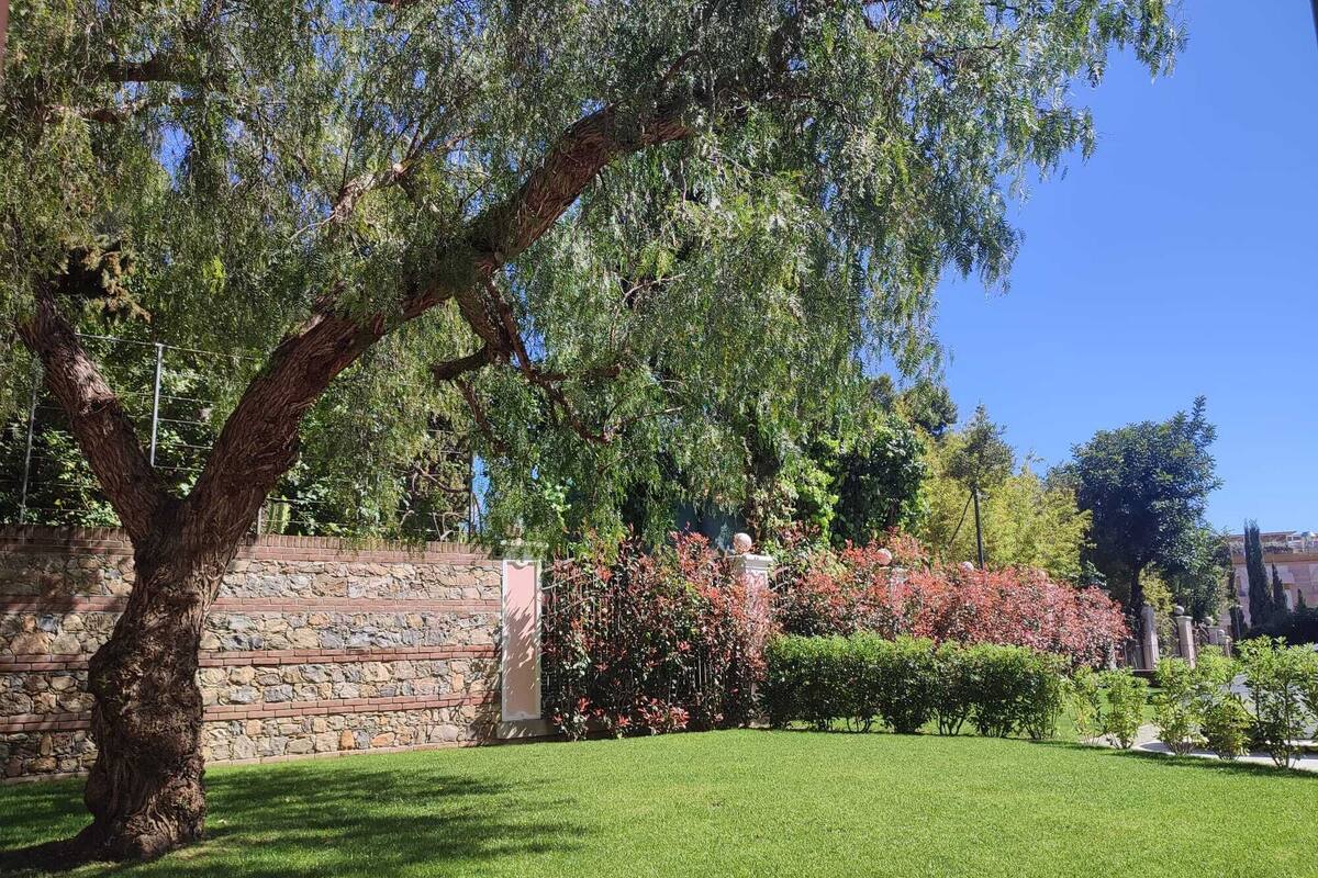 Un césped cuidado con un muro de piedra y un árbol grande.