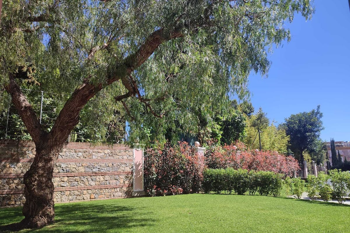 Deluxe Apartment, 1 Bedroom, Patio, Garden View | View from room