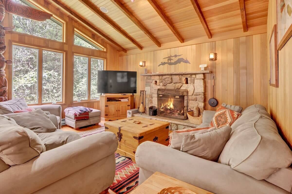 TV, fireplace, video games, books