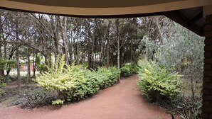 A pathway flanked by dense foliage, leading through a wooded area. - KLH RESORT (Karatu)