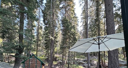Cabin walking distance to Donner Lake