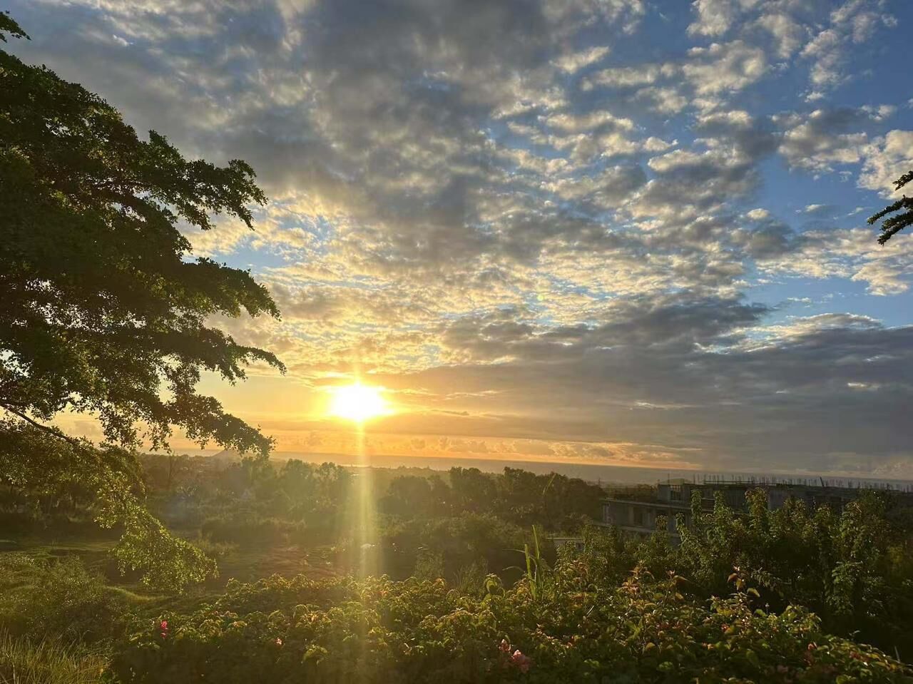 Un atardecer sobre un paisaje con árboles y un puente distante.
