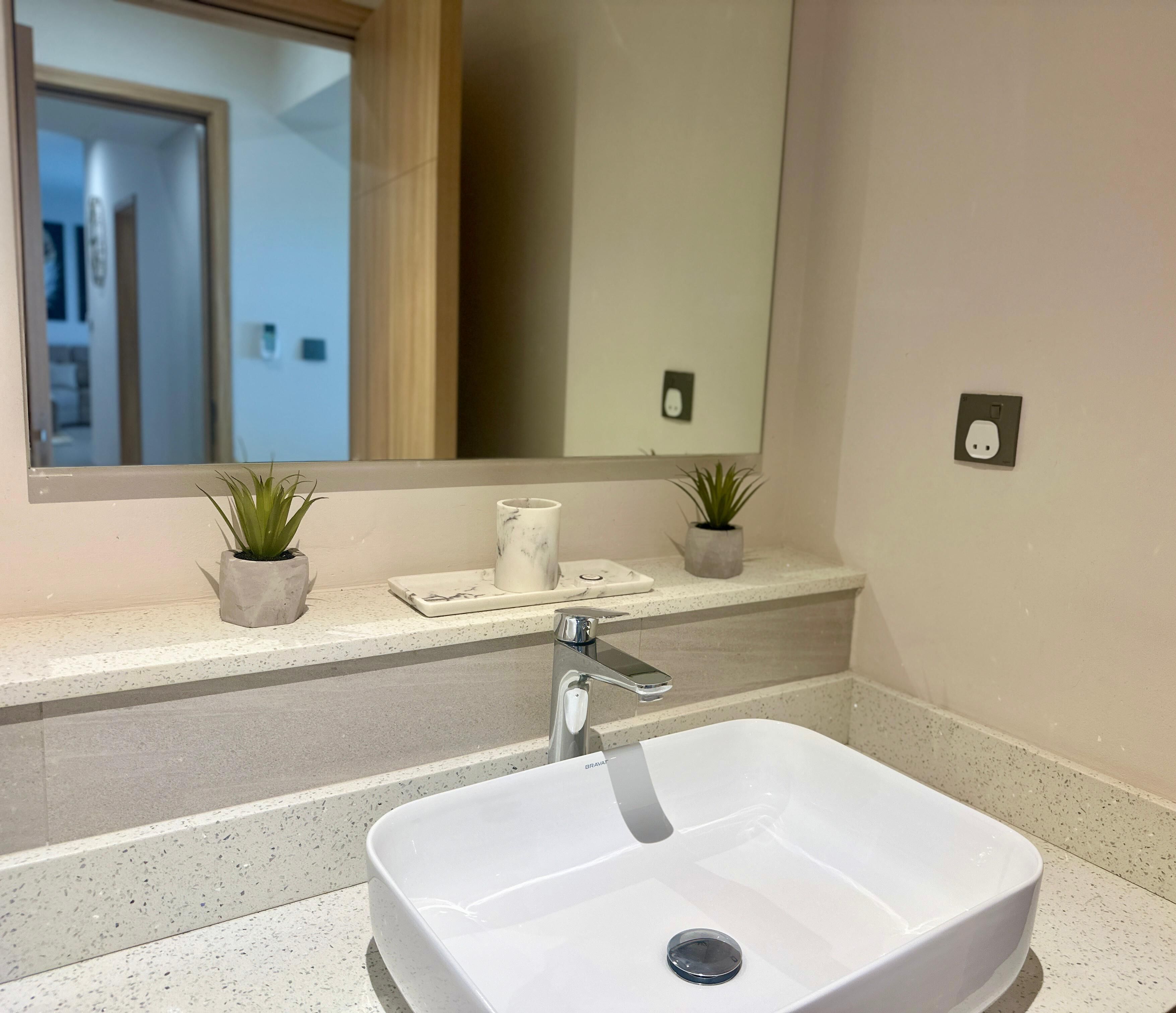 Un baño con un lavamanos blanco, un espejo y dos plantas en macetas sobre el mostrador.