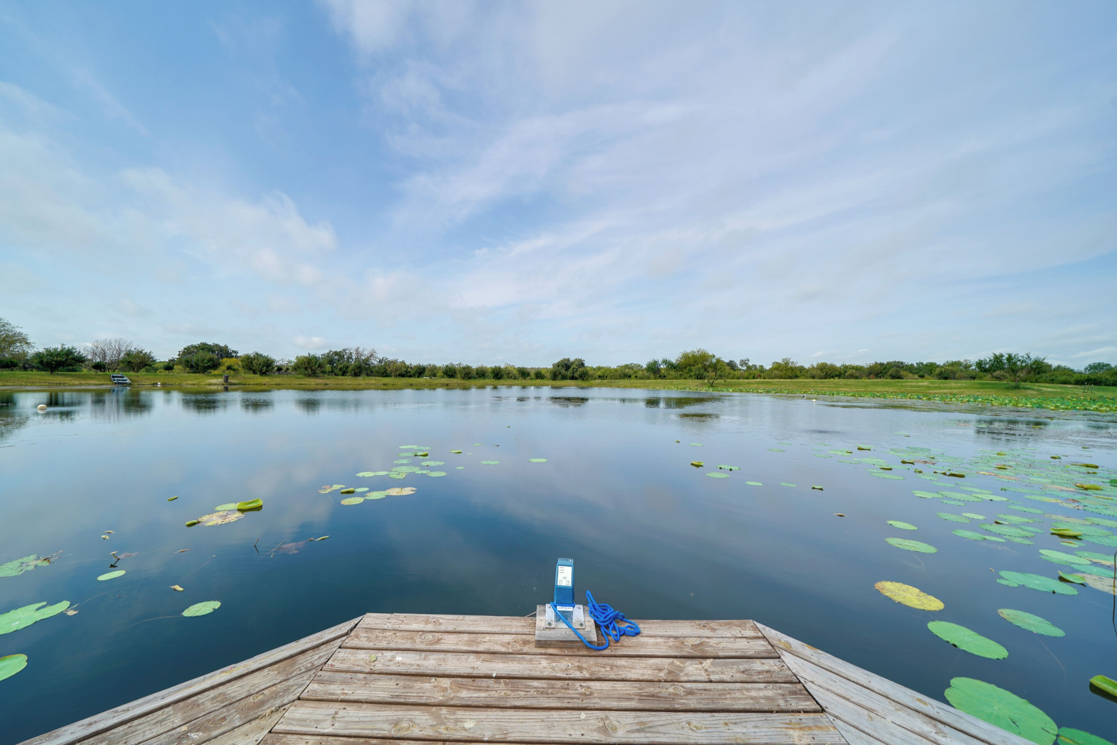 A wooden dock extending into a calm lake with lily pads, surrounded by greenery and trees.
