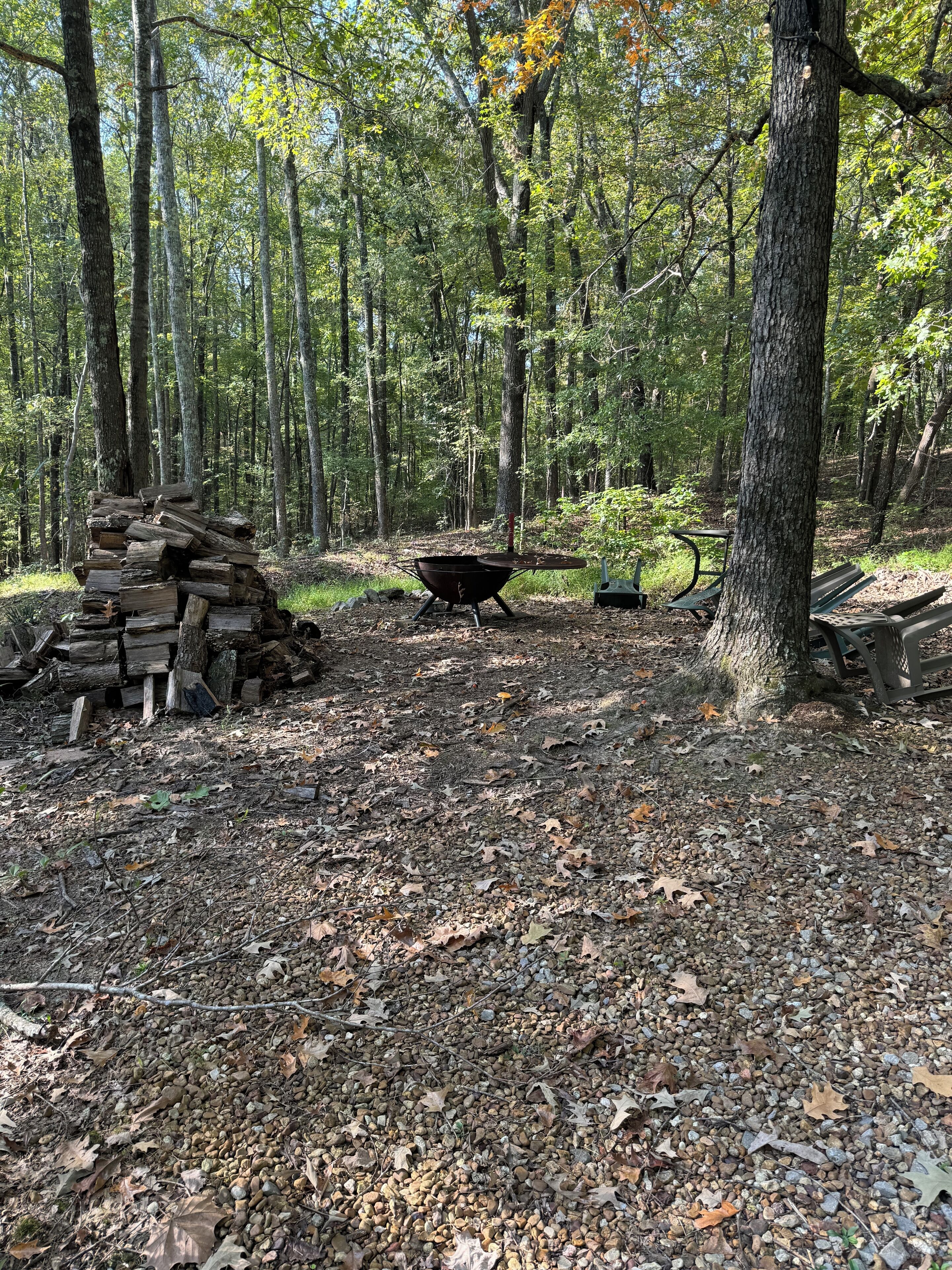 المنطقة المحيطة بالمنشأة