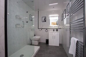 Shower, hair dryer, towels
