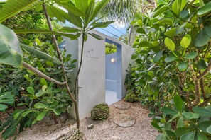 Property grounds - Designer-Owned Mid-century Pool Home in Historic Downtown West Palm Beach  (West Palm Beach)