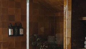 A bathroom with a tiled wall, a glass shower enclosure, and a potted plant on the counter.