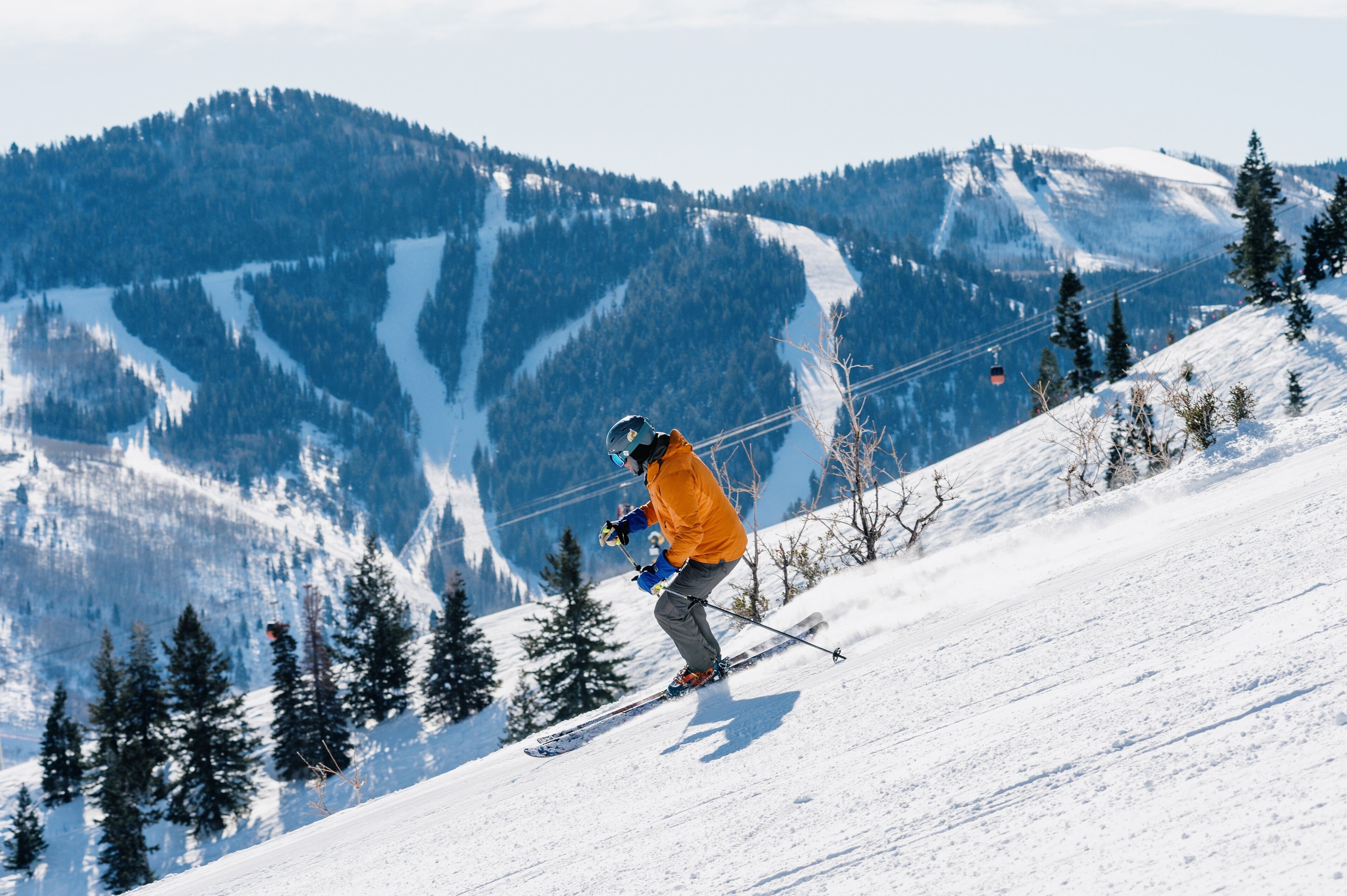 Un skieur sur une pente enneigée, avec une montagne en arrière-plan.