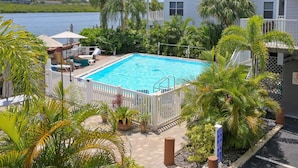 A swimming pool surrounded by palm trees and a white fence, with a view of a body of water and a building in the background.