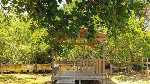 A wooden pergola structure with a wooden deck, surrounded by lush greenery and trees.